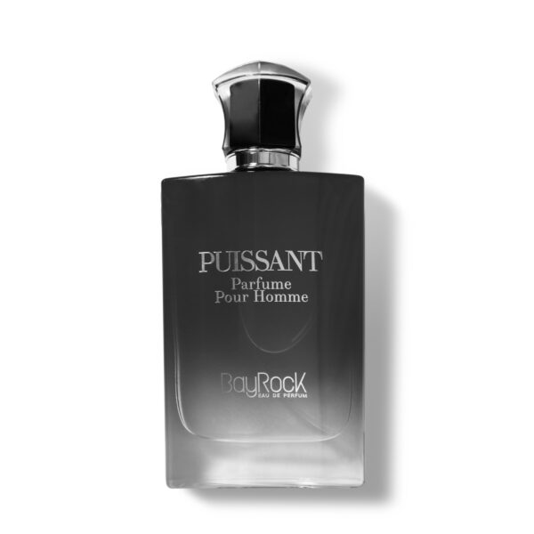 ادکلن مردانه پویسانت بایراک BayRock PUISSANT