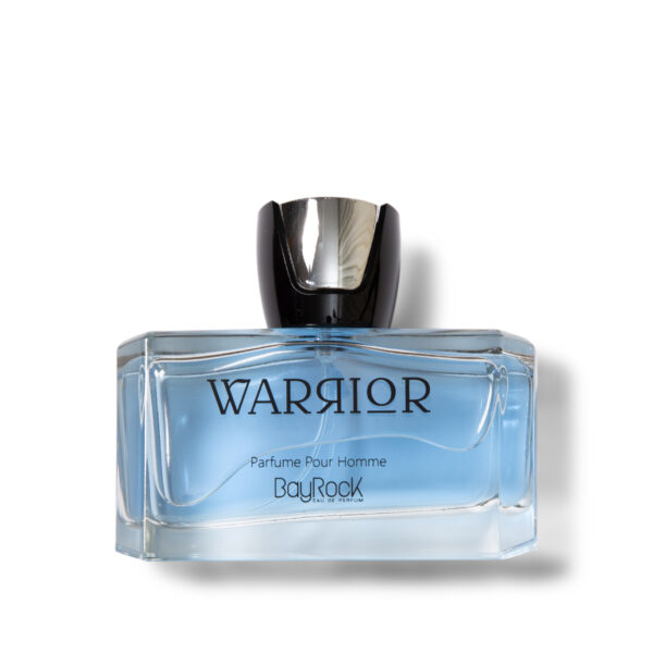 ادکلن مردانه واریر بایراک BayRock WARRIOR