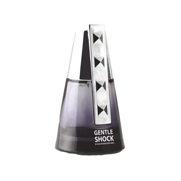 ادوپرفیوم مردانه نیو برند مدل Gentle Shock
